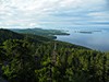 Výhled na jezero Pielinen z vrcholu Koli