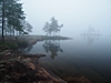 NP Skuleskogen - u jezera Tärnättvattnen