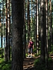 Stezka okolo jezera Matildanjärvi